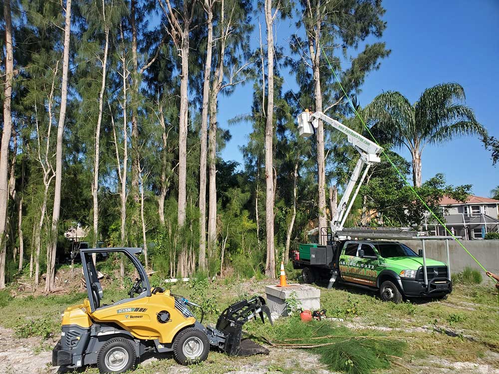 Palm Beach Tree Service Crew