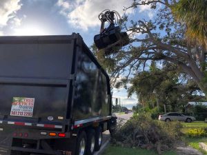 tree debris haulers palm beach