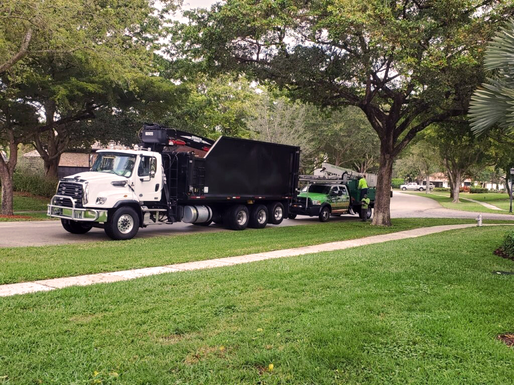 palm beach service area