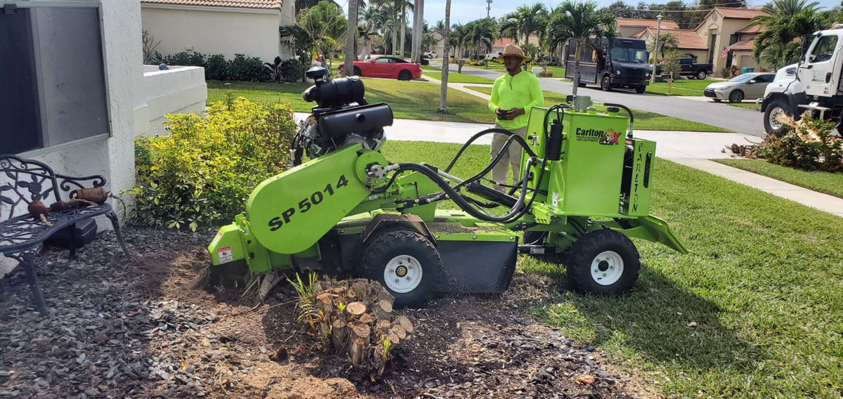 Palm Beach Tree Service
