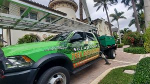 Palm Beach Tree Trimming Pros