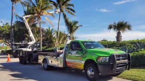 Palm Beach Tree Services