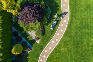 Tree Services