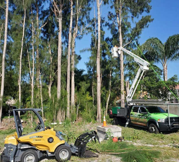 Tree Services