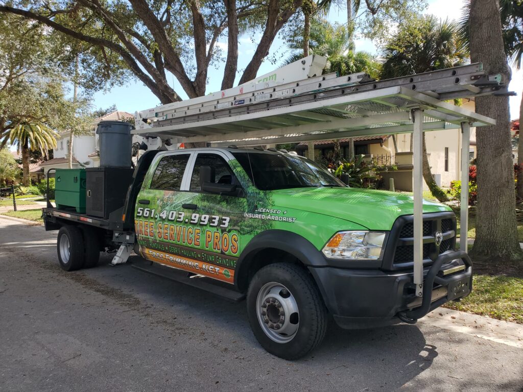 Palm Beach Service Area